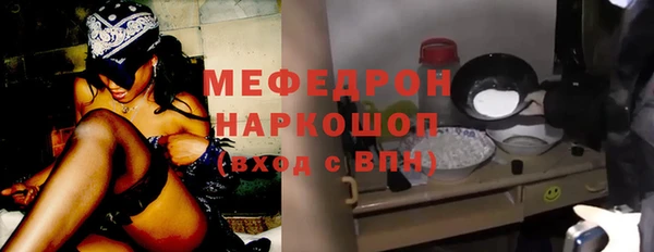 индика Беломорск
