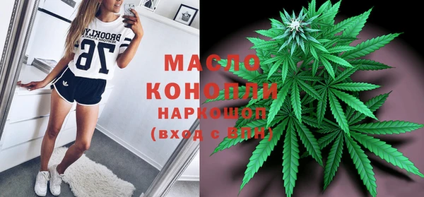 индика Беломорск