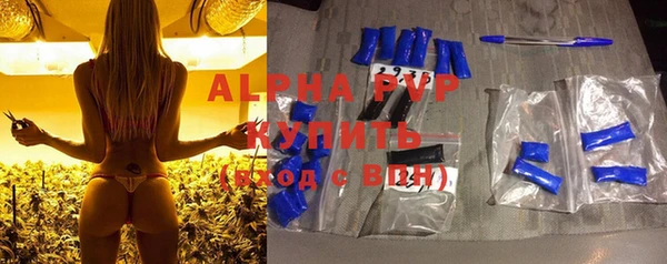 индика Беломорск
