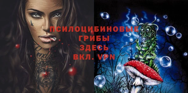 ПСИЛОЦИБИНОВЫЕ ГРИБЫ Балабаново