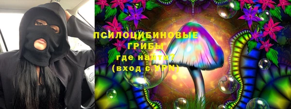 ПСИЛОЦИБИНОВЫЕ ГРИБЫ Балабаново