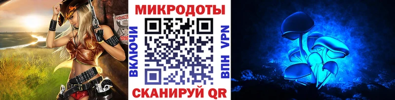 Псилоцибиновые грибы Psilocybe  Семёнов 
